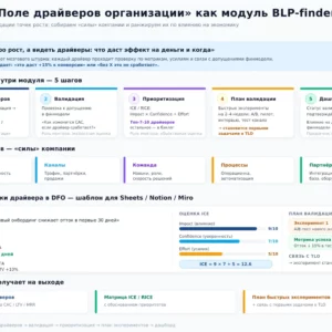 DFO - Поле драйверов компании (услуга)
