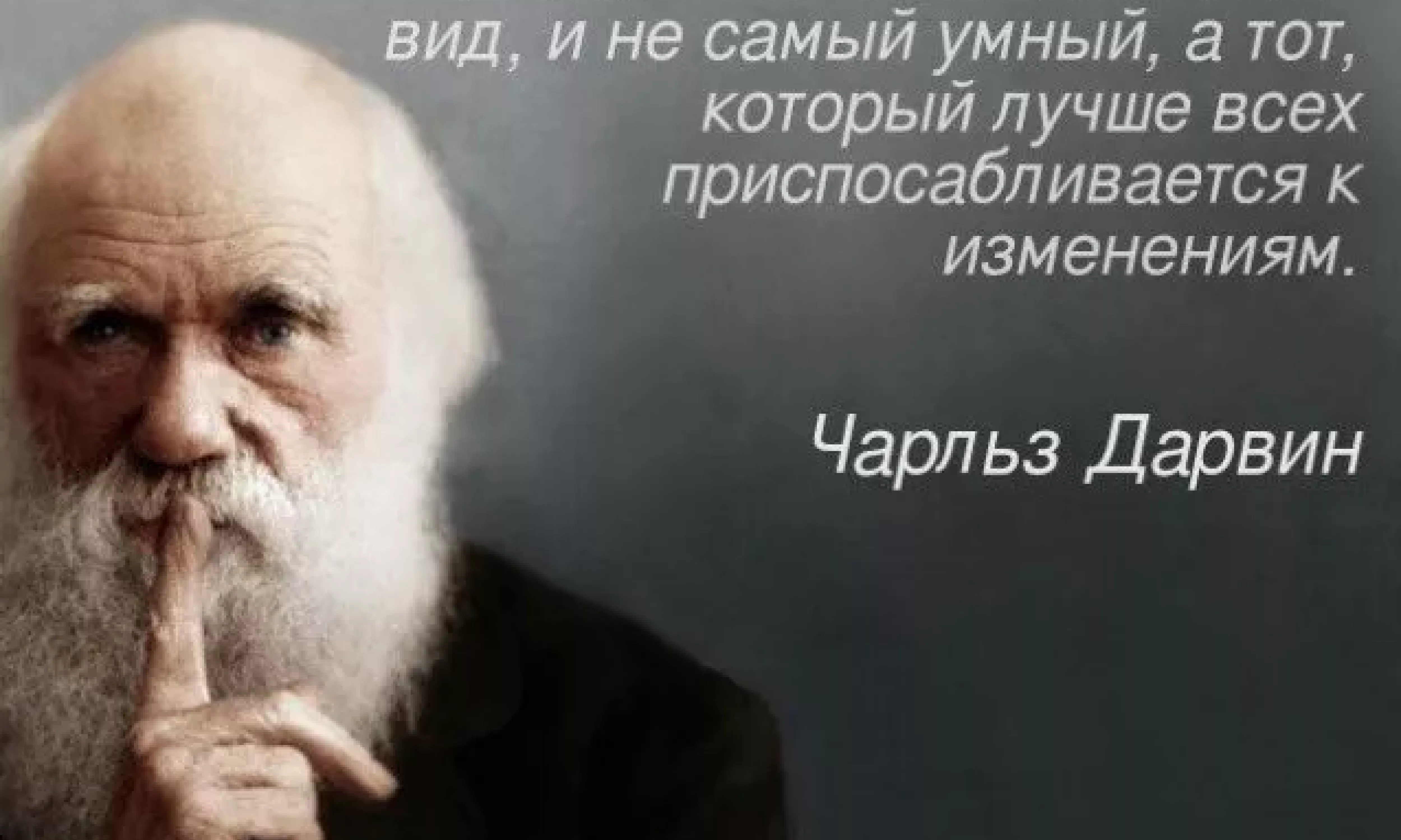 Darwin